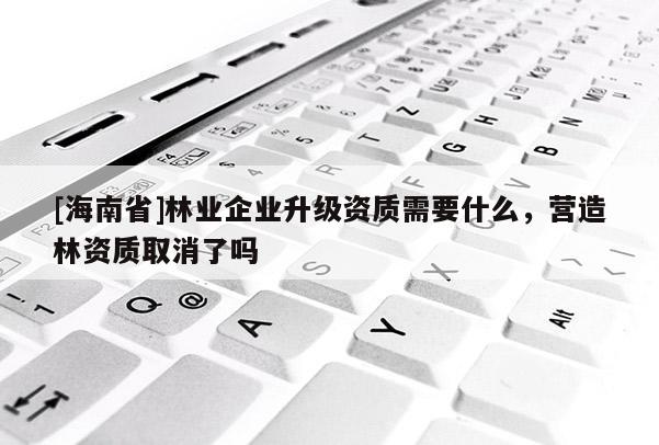 [海南省]林業企業升級資質需要什么，營造林資質取消了嗎