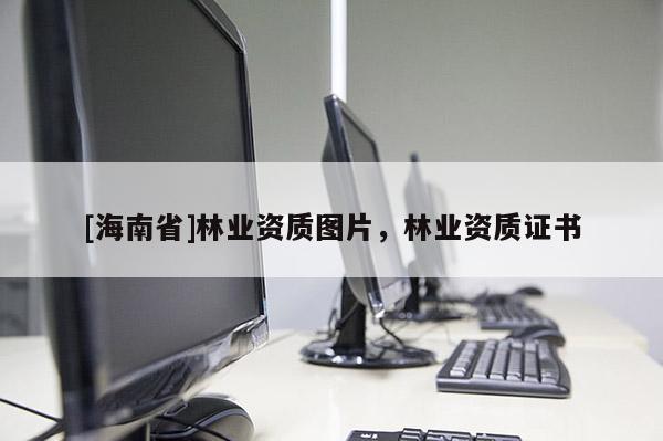 [海南省]林業資質圖片，林業資質證書