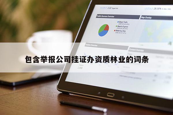 包含舉報公司掛證辦資質林業的詞條