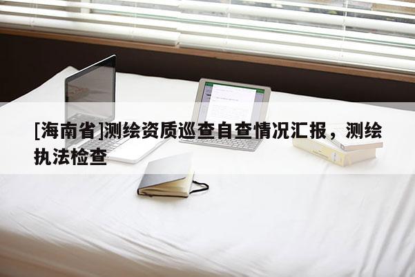 [海南省]測繪資質巡查自查情況匯報，測繪執法檢查