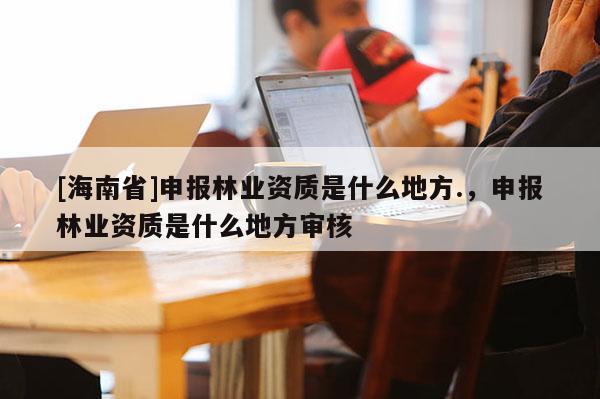 [海南省]申報林業(yè)資質是什么地方.，申報林業(yè)資質是什么地方審核