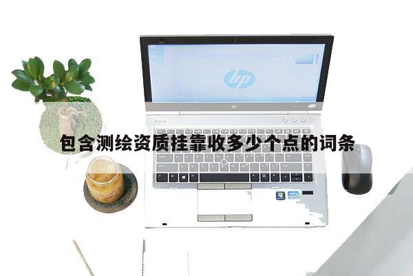 包含測繪資質(zhì)掛靠收多少個點的詞條