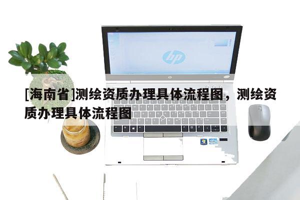 [海南省]測繪資質辦理具體流程圖，測繪資質辦理具體流程圖