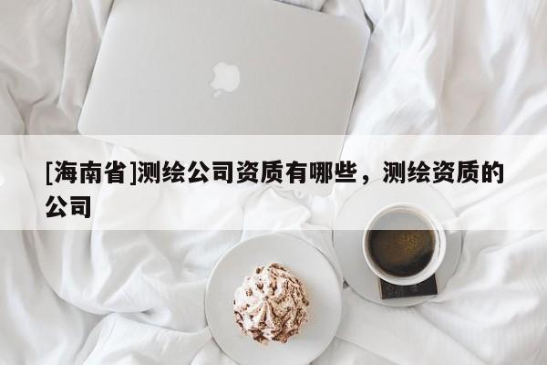 [海南省]測繪公司資質有哪些，測繪資質的公司