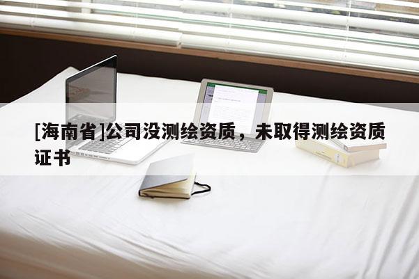 [海南省]公司沒(méi)測(cè)繪資質(zhì)，未取得測(cè)繪資質(zhì)證書