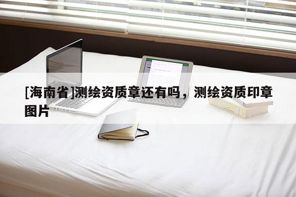 [海南省]測繪資質章還有嗎，測繪資質印章圖片