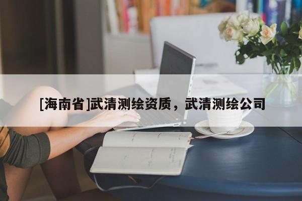 [海南省]武清測繪資質，武清測繪公司