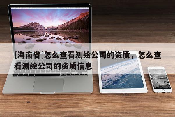 [海南省]怎么查看測繪公司的資質，怎么查看測繪公司的資質信息