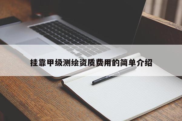 掛靠甲級測繪資質費用的簡單介紹