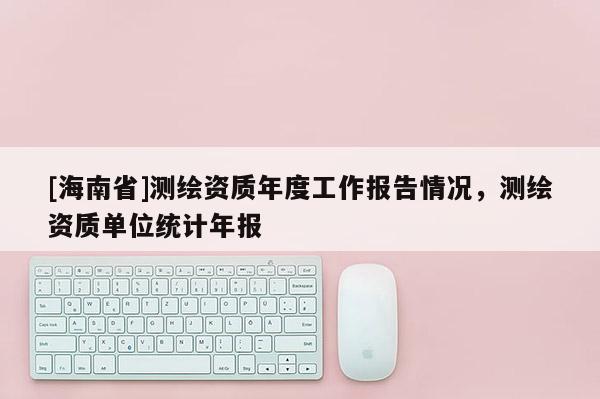 [海南省]測繪資質年度工作報告情況，測繪資質單位統計年報