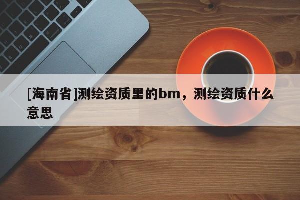 [海南省]測(cè)繪資質(zhì)里的bm，測(cè)繪資質(zhì)什么意思